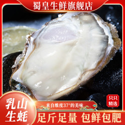 蜀皇 乳山生蚝鲜活特大牡蛎海蛎子带壳贝类海鲜水产10斤4XL号 4XL号