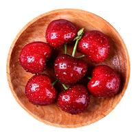 鲁禧海岸 内蒙古羔羊肉 半只羊分割10斤装 礼盒装