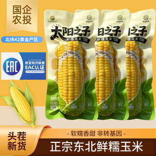 【农投】东北黄糯玉米白糯玉米软糯香甜粘苞米真空装粗粮杂粮