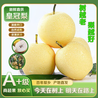 樱鲜 皇冠梨  带箱8.5-9斤