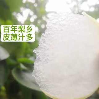樱鲜 皇冠梨 脆甜多汁 新鲜水果
