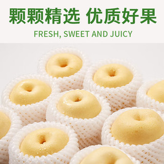 樱鲜 皇冠梨 脆甜多汁 新鲜水果