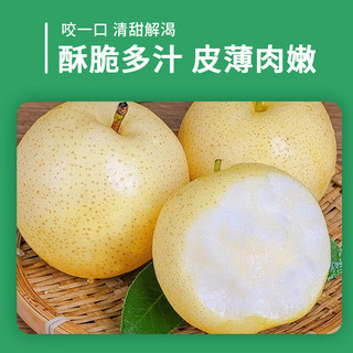 樱鲜 皇冠梨 脆甜多汁 新鲜水果