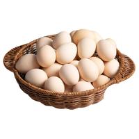 喵满分新鲜柴鸡蛋农家散养土鸡蛋柴鸡蛋新鲜现捡45g*12枚
