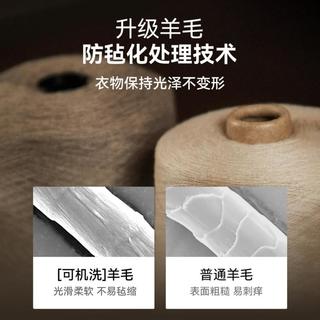 EMZ   【100%羊毛可机洗防缩&保暖舒适】秋冬季保暖羊毛衫男
