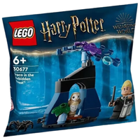 LEGO 乐高 哈利·波特系列 30677 禁林中的德拉科