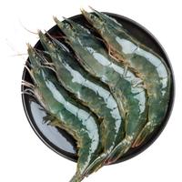 青岛大虾鲜活特大号基围虾海鲜生鲜冻虾白虾水产王牌速冻冷冻新鲜 17-19cm 1500g