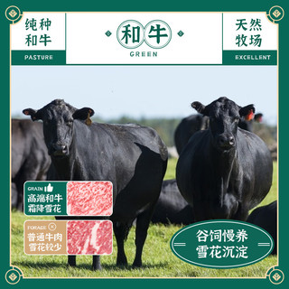茶牛 澳洲和牛M6-M7原切牛排 1kg 生鲜牛肉