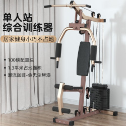 艾美仕 综合训练器多功能大型家用器材组合力量训练器械单人站 咖啡金（配重100磅）