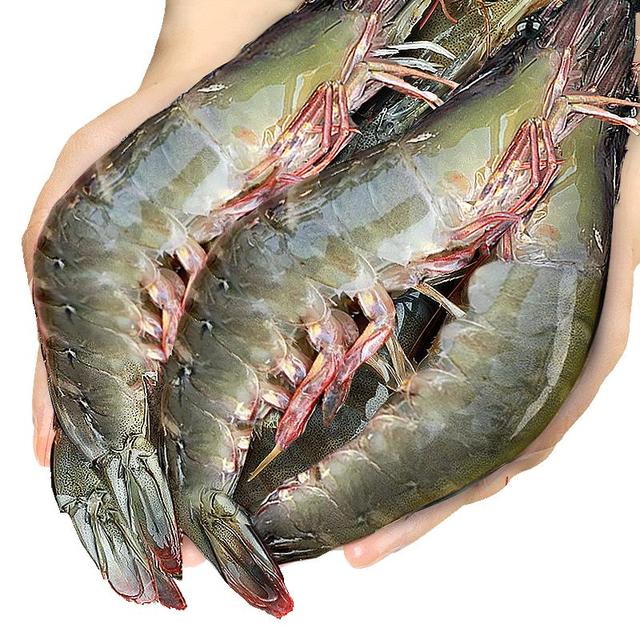 东上御品 鲜活 虾  气动大虾4斤 1.5kg