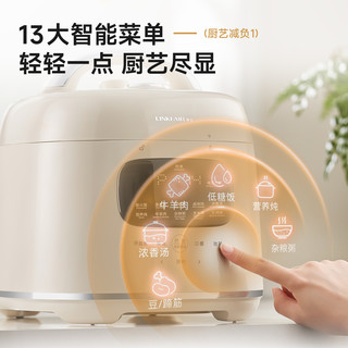  LINKFAIR/凌丰 LFDPC-ZZZB30 多功能 电压力锅  3升电压力锅 3L，3L