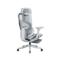 ENOVA自由家人体工学椅办公座椅舒适学习椅子电竞椅撑腰椅电脑椅 液态银（6D扶手+铝合金脚+脚踏）