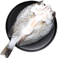 鲜城故事三去海鲈鱼5条装(共3斤) 白蕉开背海鲈鱼 地标 鱼类 源头直发 【三去】白蕉海鲈鱼5条/共3斤