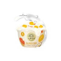 北海牧场宝石碗系列低温酸奶0蔗糖风味发酵乳 新日期 荔枝树莓4+白葡萄4+杨枝甘露4