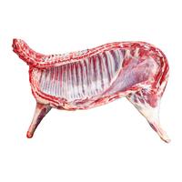 口水时代新鲜半只羊 羊排羊蝎子羊腿 分割 【10斤】半羊套餐-分割