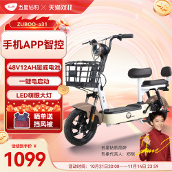 五星钻豹 A31 电动车 TDT0011-1Z 48V12AH