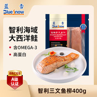 蓝雪 三文鱼柳 400g