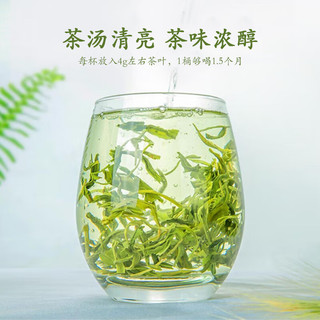 梦龙韵【精选绿茶】茶叶高山绿茶云雾碧螺春茶夏秋茶炒青绿茶 【2025年新茶】碧螺春