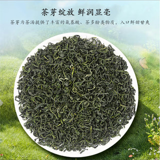 梦龙韵【精选绿茶】茶叶高山绿茶云雾碧螺春茶夏秋茶炒青绿茶 【2025年新茶】碧螺春