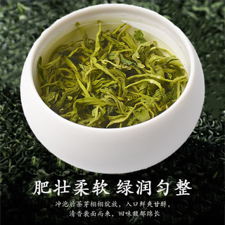 梦龙韵【精选绿茶】茶叶高山绿茶云雾碧螺春茶夏秋茶炒青绿茶 【2025年新茶】碧螺春