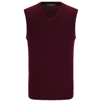 雅戈尔(YOUNGOR)毛衫背心男V领含绵羊毛混纺毛衫背心手感柔软舒适 VBHM639982MVA暗红 L 105c