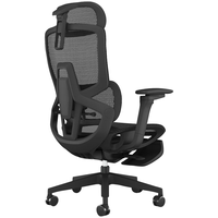 ENOVA智慧家PRO 人体工学椅电脑椅家用舒适久坐办公椅撑腰学习椅子 【PRO版】墨妍黑 脚踏款