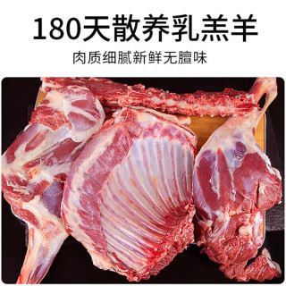 华禧顿 清爵内蒙羊肉生鲜 羊排新鲜羊腿肉羊蝎子鲜似滩羊