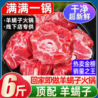 华禧顿内蒙羊肉生鲜 羊排新鲜羊腿肉羊蝎子火锅烧烤食材半只羊礼盒  5A级顶配【羊蝎子】6斤（单品）