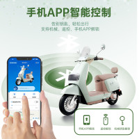 五星钻豹 电动车72V20AH智能电瓶车N8
