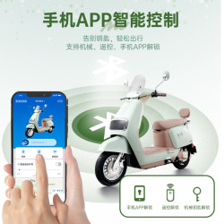 五星钻豹 电动车72V20AH智能电瓶车N8