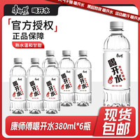 康师傅 冰红茶小瓶饮料多口味饮品轻巧便携装整箱 380mL 6瓶喝开水