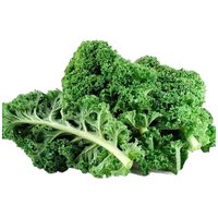 小汤山 西芹 400g