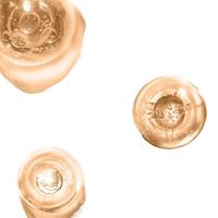 CATRICE 珂萃丝 亲触保湿粉底液 #002NEUTRAL IVORY象牙白 30ml（临期清仓）