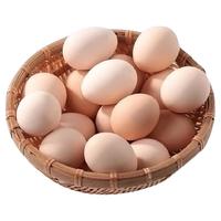 固伦天原鲜鸡蛋新鲜农家散养鸡蛋土鸡蛋新鲜现捡35g/枚