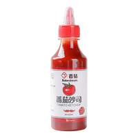 Bakerdream 百钻 番茄沙司0脂肪番茄酱家用沙拉酱组合 汉堡薯条调味酱挤压瓶装 0脂番茄酱280g