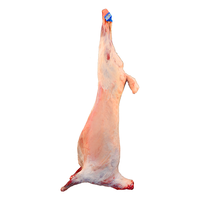 盐滩记羊肉新鲜宁夏滩羊现杀全羊整只35斤白条生鲜年货礼盒源头直发 按单现杀35斤滩羊（整只）