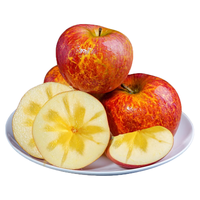 颜曼箐云南昭通丑苹果冰糖心新鲜水果威宁红富士苹果年货节礼盒装 昭通冰糖心5斤60-70mm 脆甜多汁