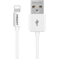 PISEN 品胜 数据线快充充电线1.2米适用苹果iphone 13/12pro通用正品X