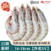 莲山九鲜 厄瓜多尔大白虾 16-18cm 3斤