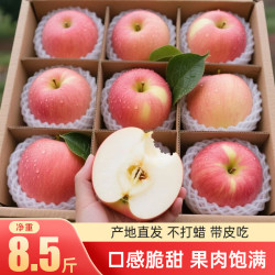 小博生鲜 山西红富士苹果净重8.5斤