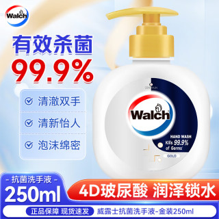 Walch 威露士 抑菌丝蛋白洗手液 金装抗菌洗手液250ml