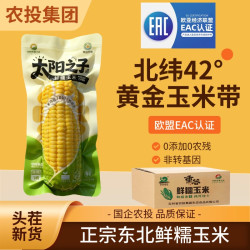 北誉甄品 东北黄糯玉米 240-280g*8棒 白糯玉米可选
