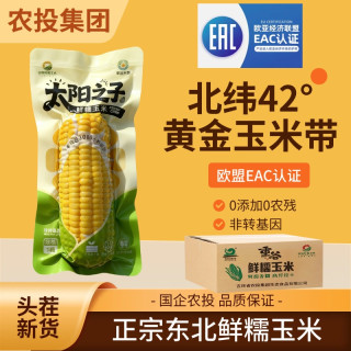 北誉甄品 东北黄糯玉米 240-280g*8棒 白糯玉米可选