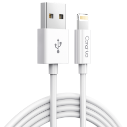 仓华 R01-2米-白 MFI认证 苹果数据线  Lightning USB-A 2.4A TPE