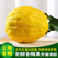 今日必买：风车车农场 云南香橼果 1-2斤
