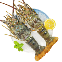 鲟食龙虾生鲜小青龙新鲜冷冻 超大青龙虾 海鲜大虾 2只*4-5两/只 小青龙虾【尝鲜】