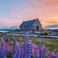 新意盎然18人团 全国联运上海出发 新西兰南北岛库克山9日跟团游