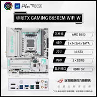 88VIP：华硕 ASUS TX GAMING B650EM WIFI W天选主板