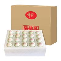 神丹 无抗杀菌保洁 生鸭蛋 包装 1100g