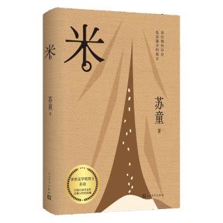 米 苏童 长大了再看人性暗黑小说经典 茅盾文学得主苏童代表作 宇辉 小说